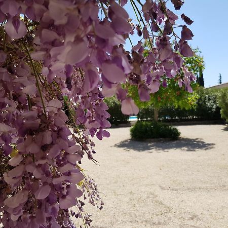 Bed and Breakfast La Pastorale Lagnes Экстерьер фото