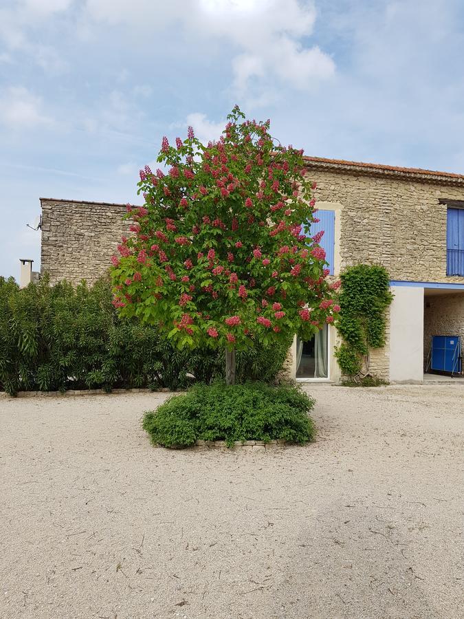 Bed and Breakfast La Pastorale Lagnes Экстерьер фото